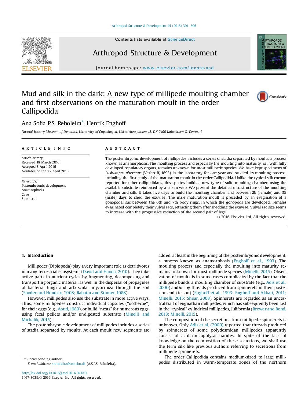 Mud and silk in the dark: A new type of millipede moulting chamber and first observations on the maturation moult in the order Callipodida