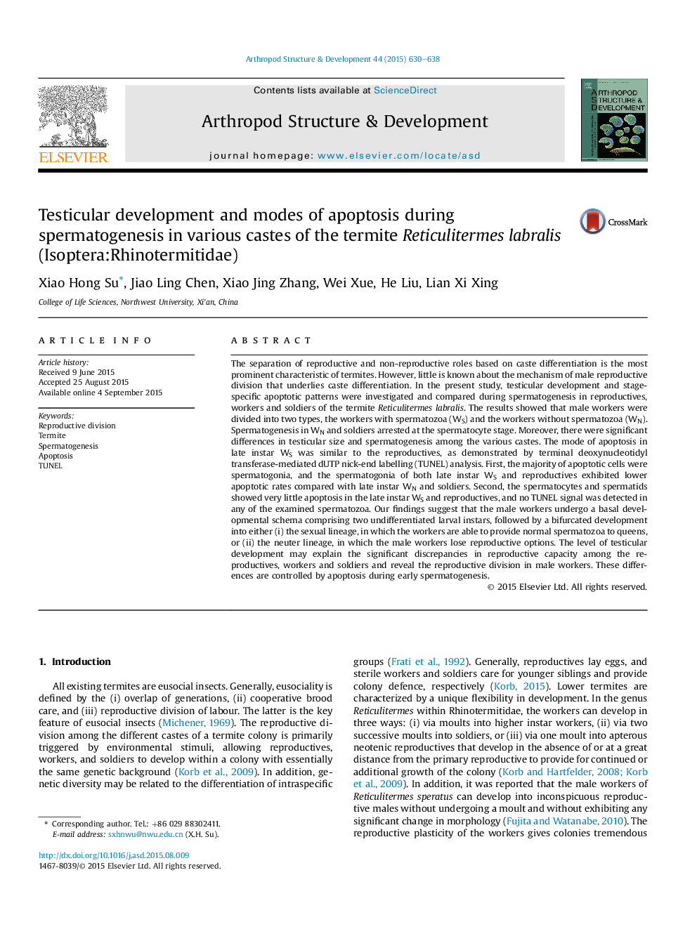 Testicular development and modes of apoptosis during spermatogenesis in various castes of the termite Reticulitermes labralis (Isoptera:Rhinotermitidae)