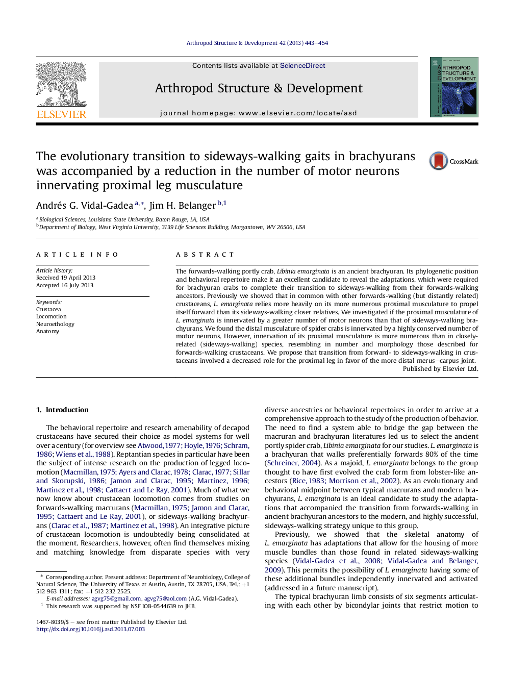 The evolutionary transition to sideways-walking gaits in brachyurans was accompanied by a reduction in the number of motor neurons innervating proximal leg musculature