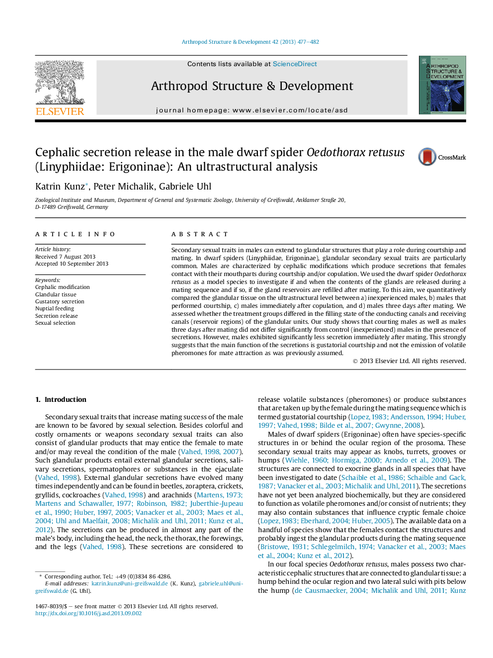 Cephalic secretion release in the male dwarf spider Oedothorax retusus (Linyphiidae: Erigoninae): An ultrastructural analysis