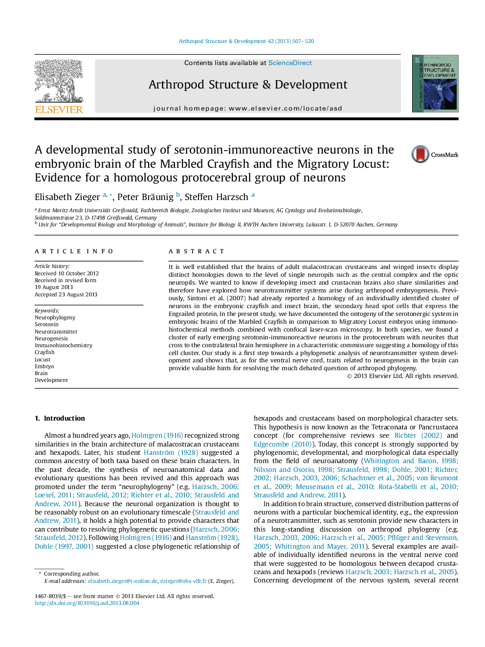 A developmental study of serotonin-immunoreactive neurons in the embryonic brain of the Marbled Crayfish and the Migratory Locust: Evidence for a homologous protocerebral group of neurons