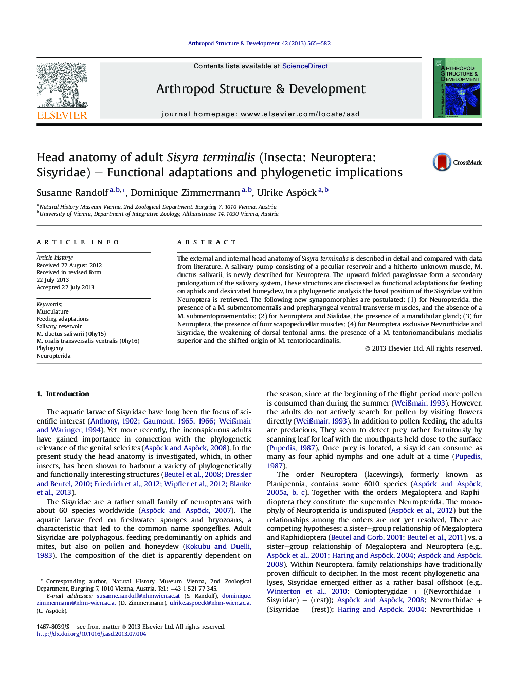 Head anatomy of adult Sisyra terminalis (Insecta: Neuroptera: Sisyridae) – Functional adaptations and phylogenetic implications