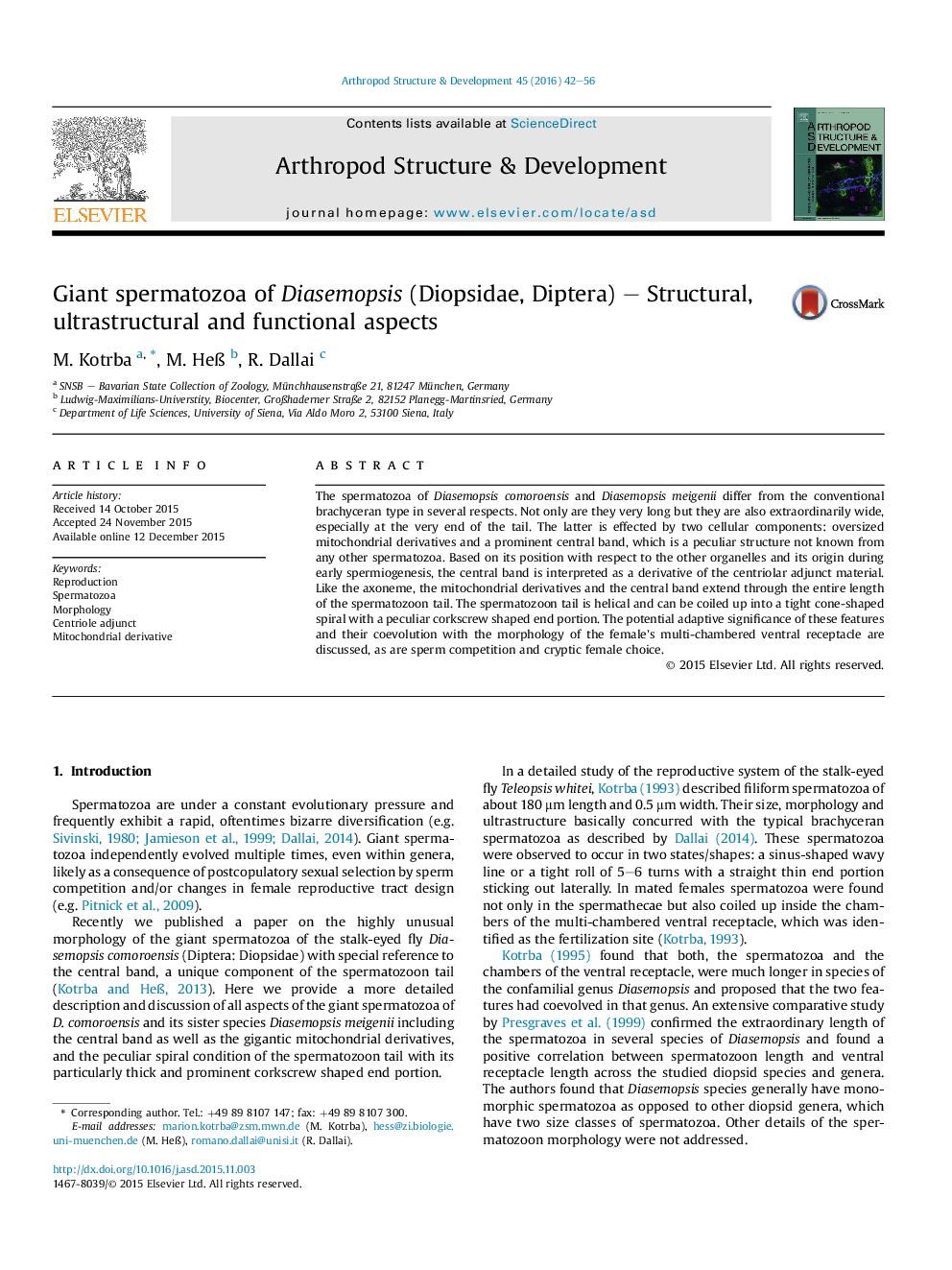 Giant spermatozoa of Diasemopsis (Diopsidae, Diptera) – Structural, ultrastructural and functional aspects