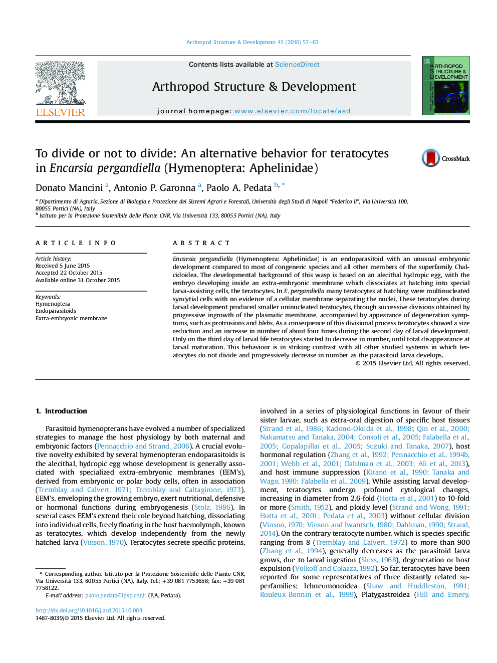 To divide or not to divide: An alternative behavior for teratocytes in Encarsia pergandiella (Hymenoptera: Aphelinidae)