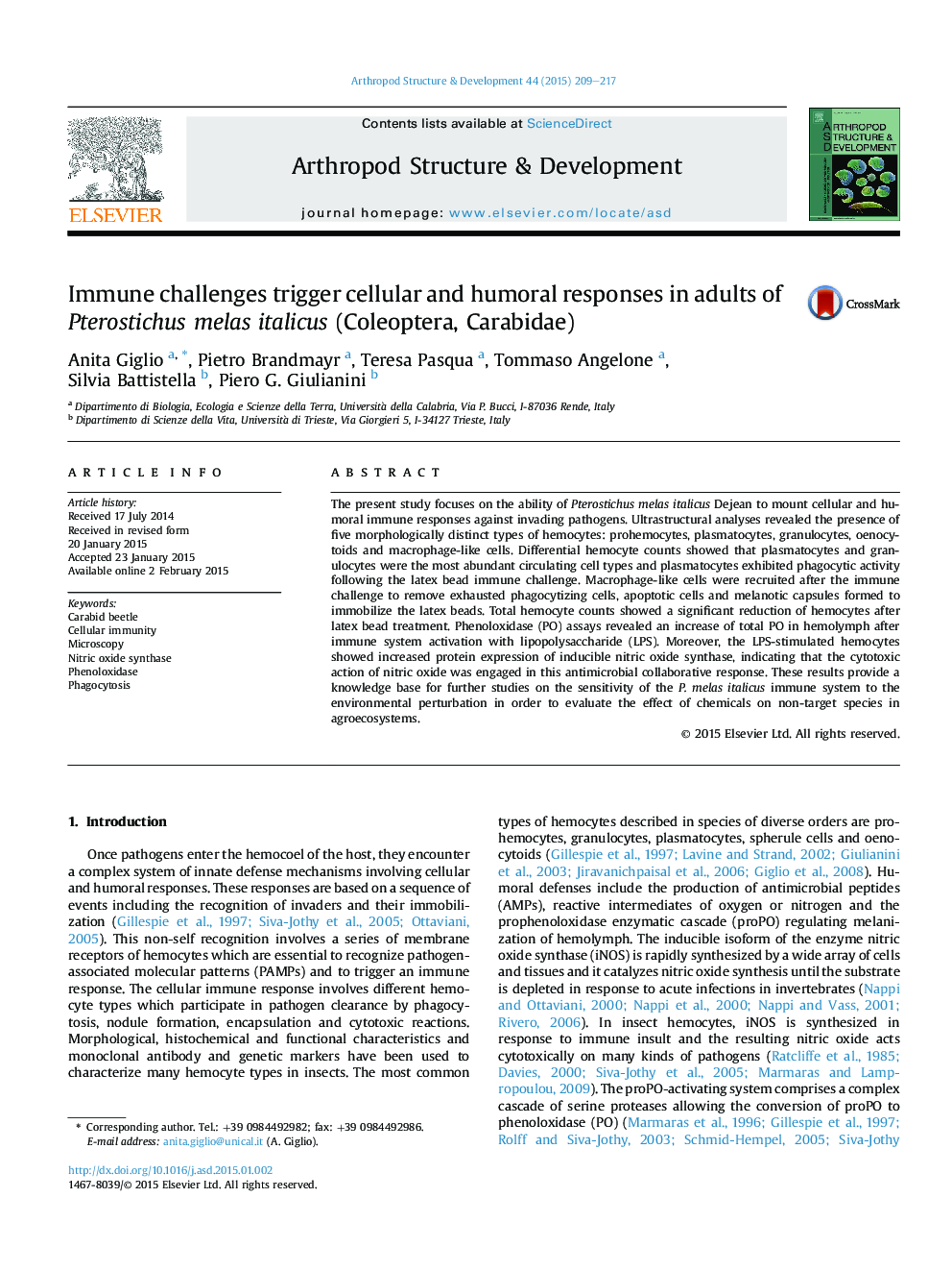 Immune challenges trigger cellular and humoral responses in adults of Pterostichus melas italicus (Coleoptera, Carabidae)