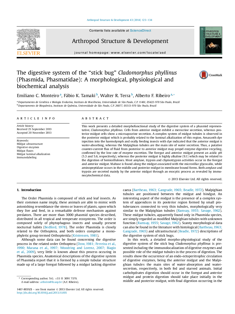 The digestive system of the “stick bug” Cladomorphus phyllinus (Phasmida, Phasmatidae): A morphological, physiological and biochemical analysis