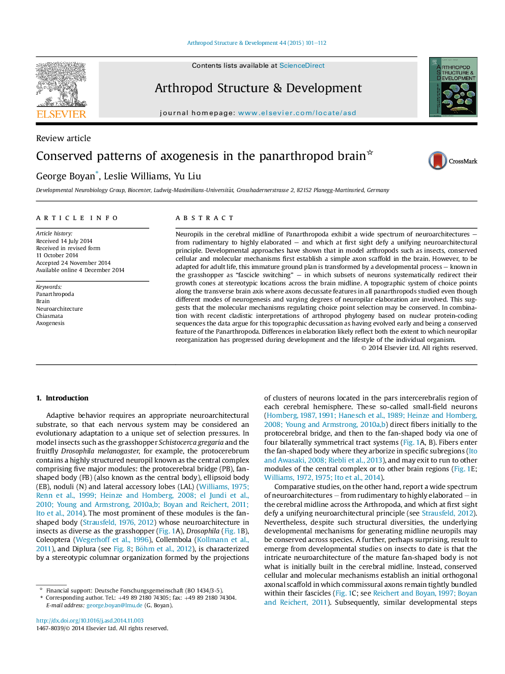 Conserved patterns of axogenesis in the panarthropod brain 