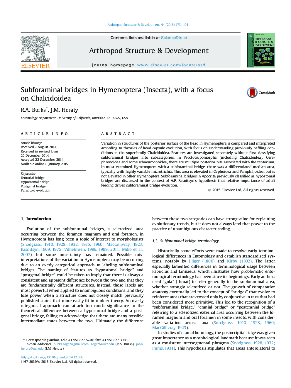 Subforaminal bridges in Hymenoptera (Insecta), with a focus on Chalcidoidea