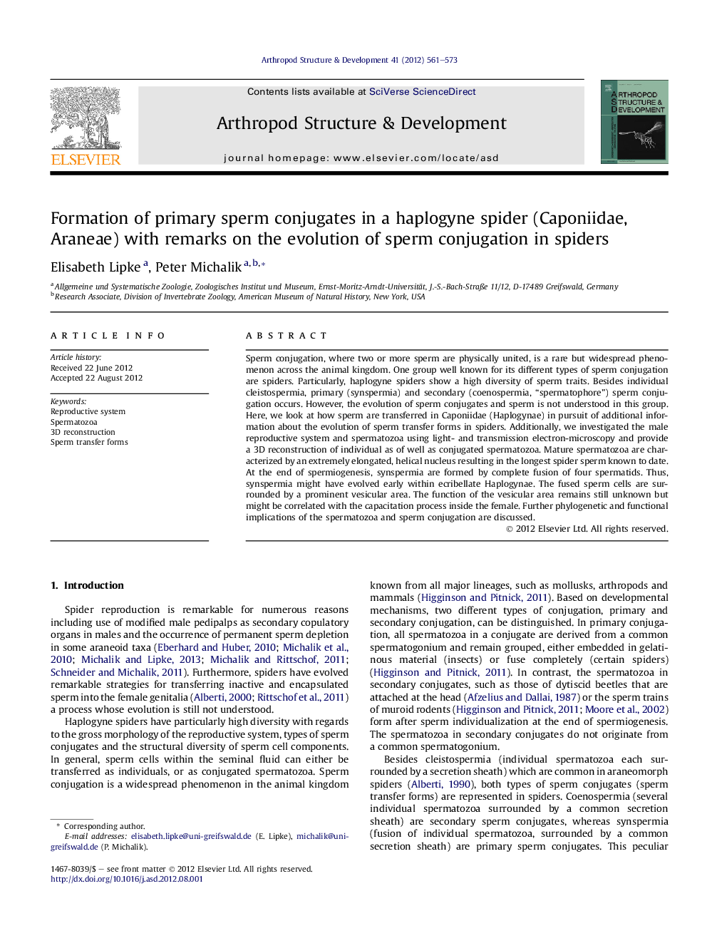 Formation of primary sperm conjugates in a haplogyne spider (Caponiidae, Araneae) with remarks on the evolution of sperm conjugation in spiders