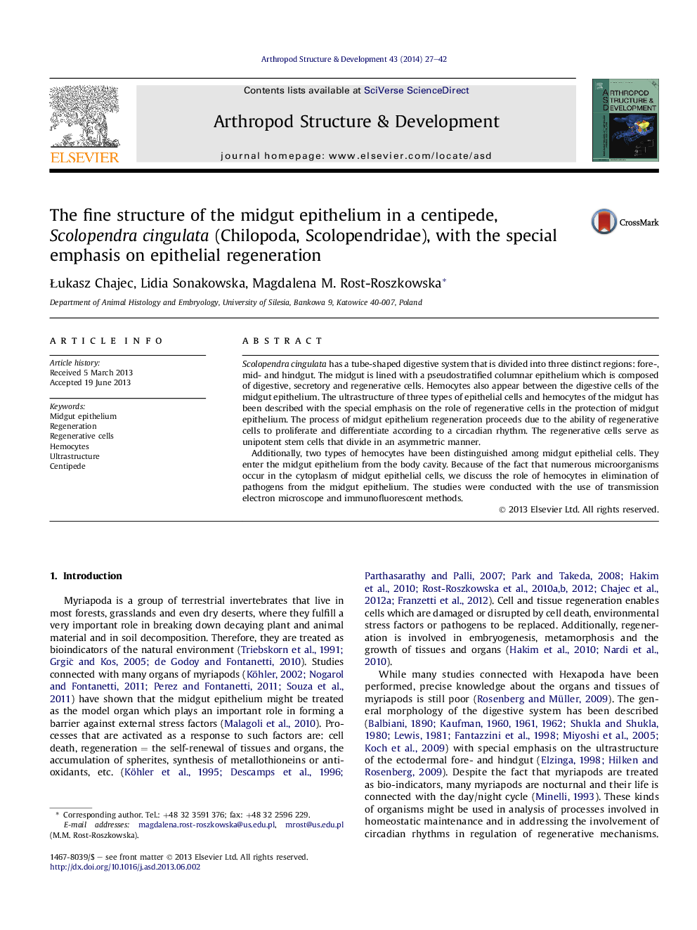 The fine structure of the midgut epithelium in a centipede, Scolopendra cingulata (Chilopoda, Scolopendridae), with the special emphasis on epithelial regeneration