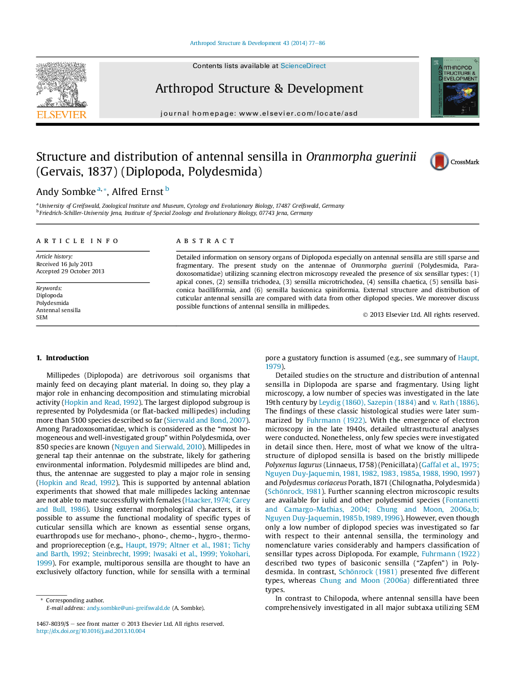 Structure and distribution of antennal sensilla in Oranmorpha guerinii (Gervais, 1837) (Diplopoda, Polydesmida)