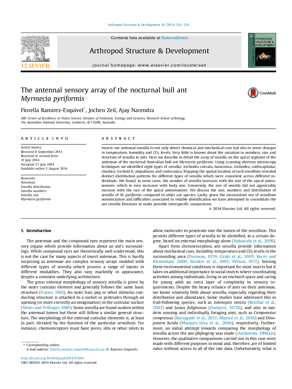 The antennal sensory array of the nocturnal bull ant Myrmecia pyriformis