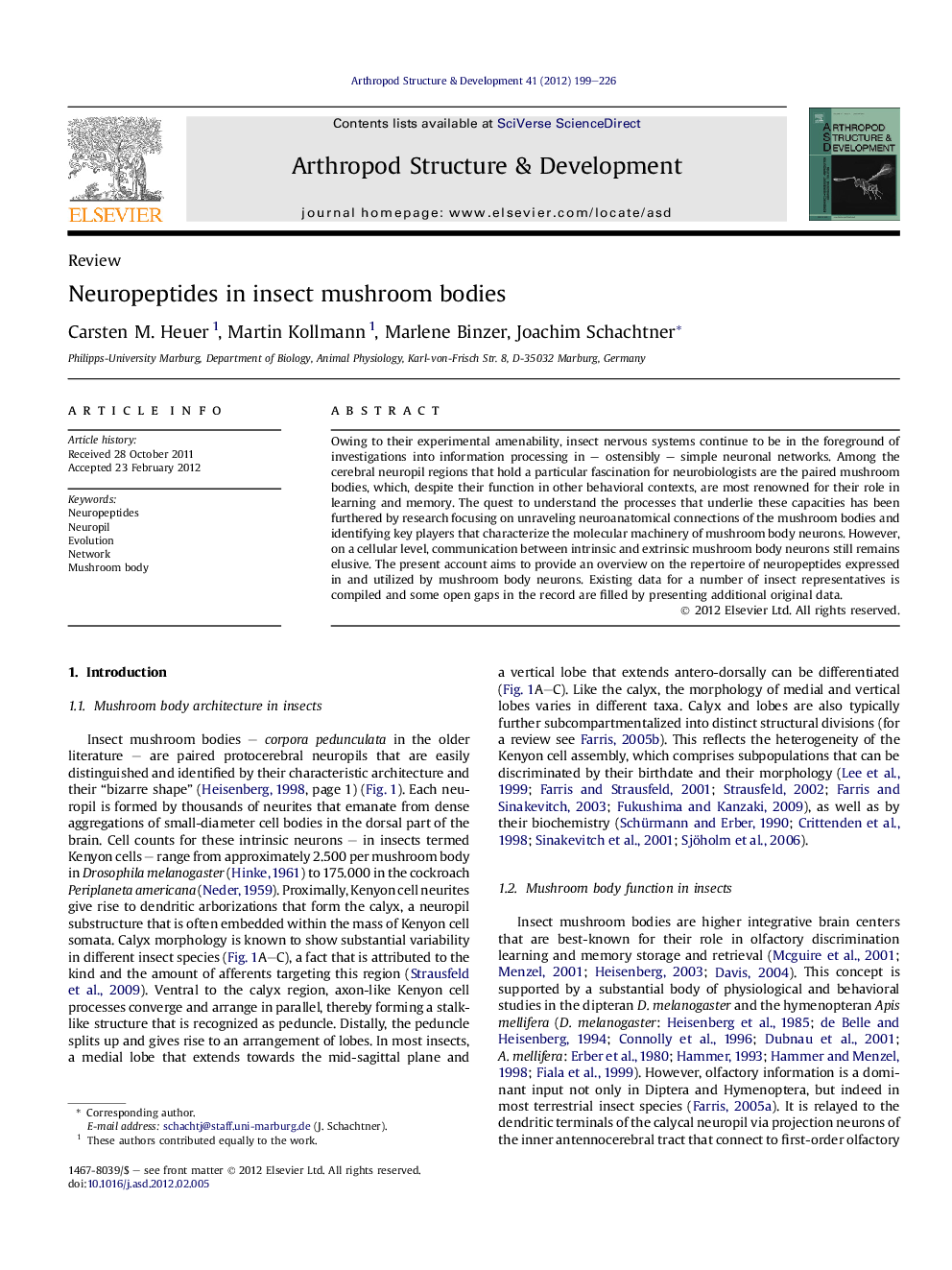 Neuropeptides in insect mushroom bodies