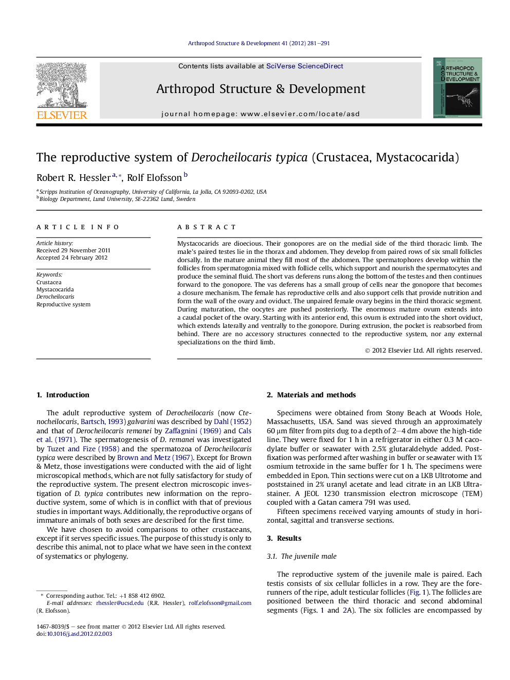 The reproductive system of Derocheilocaris typica (Crustacea, Mystacocarida)