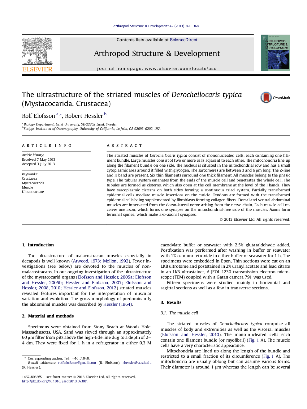 The ultrastructure of the striated muscles of Derocheilocaris typica (Mystacocarida, Crustacea)