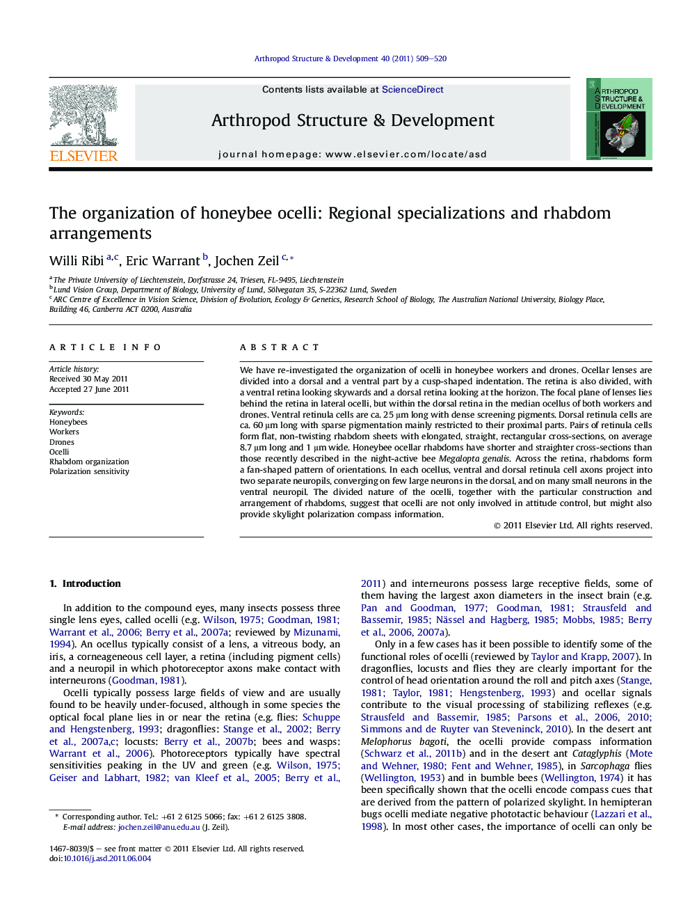 The organization of honeybee ocelli: Regional specializations and rhabdom arrangements