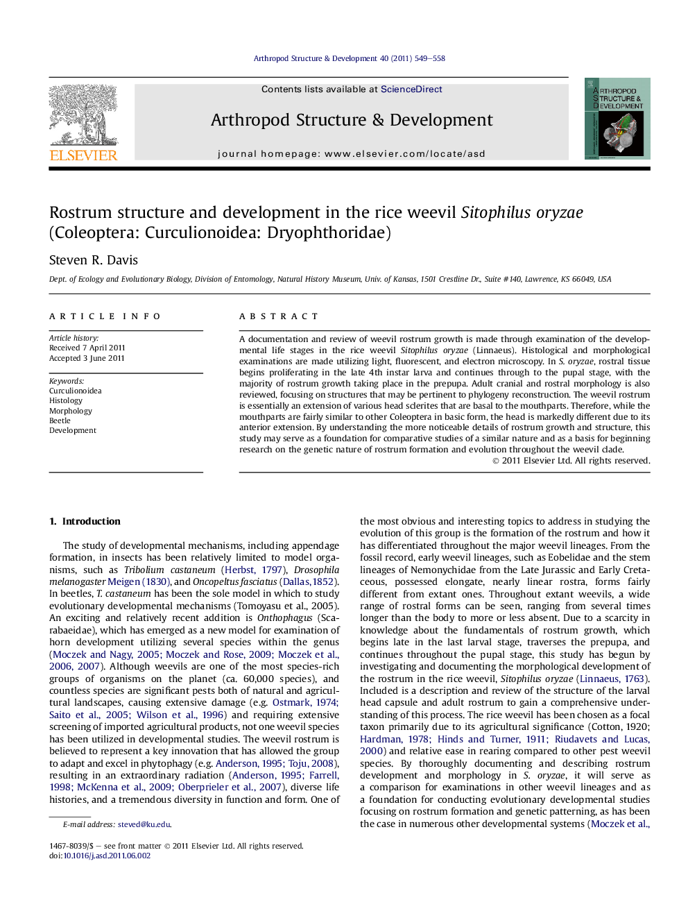 Rostrum structure and development in the rice weevil Sitophilus oryzae (Coleoptera: Curculionoidea: Dryophthoridae)