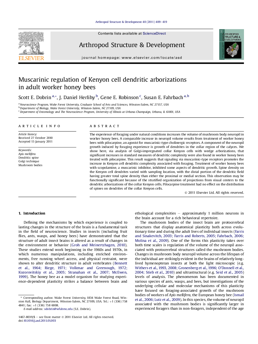 Muscarinic regulation of Kenyon cell dendritic arborizations in adult worker honey bees