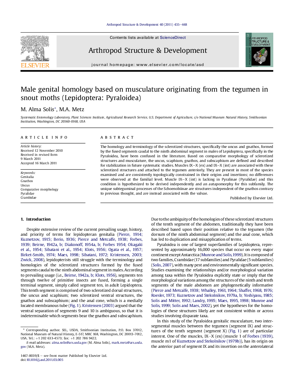 Male genital homology based on musculature originating from the tegumen in snout moths (Lepidoptera: Pyraloidea)