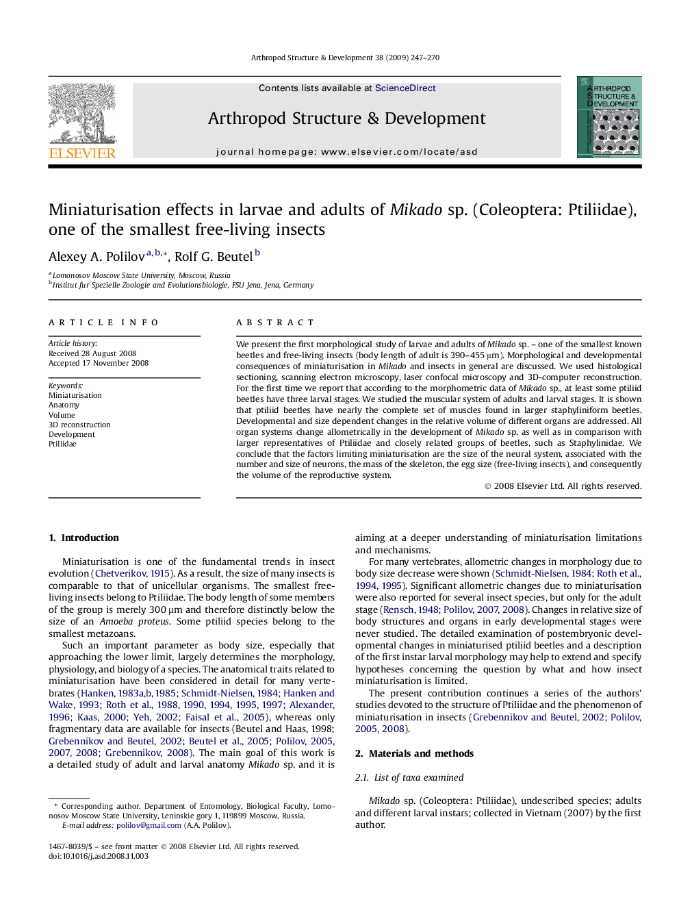 Miniaturisation effects in larvae and adults of Mikado sp. (Coleoptera: Ptiliidae), one of the smallest free-living insects