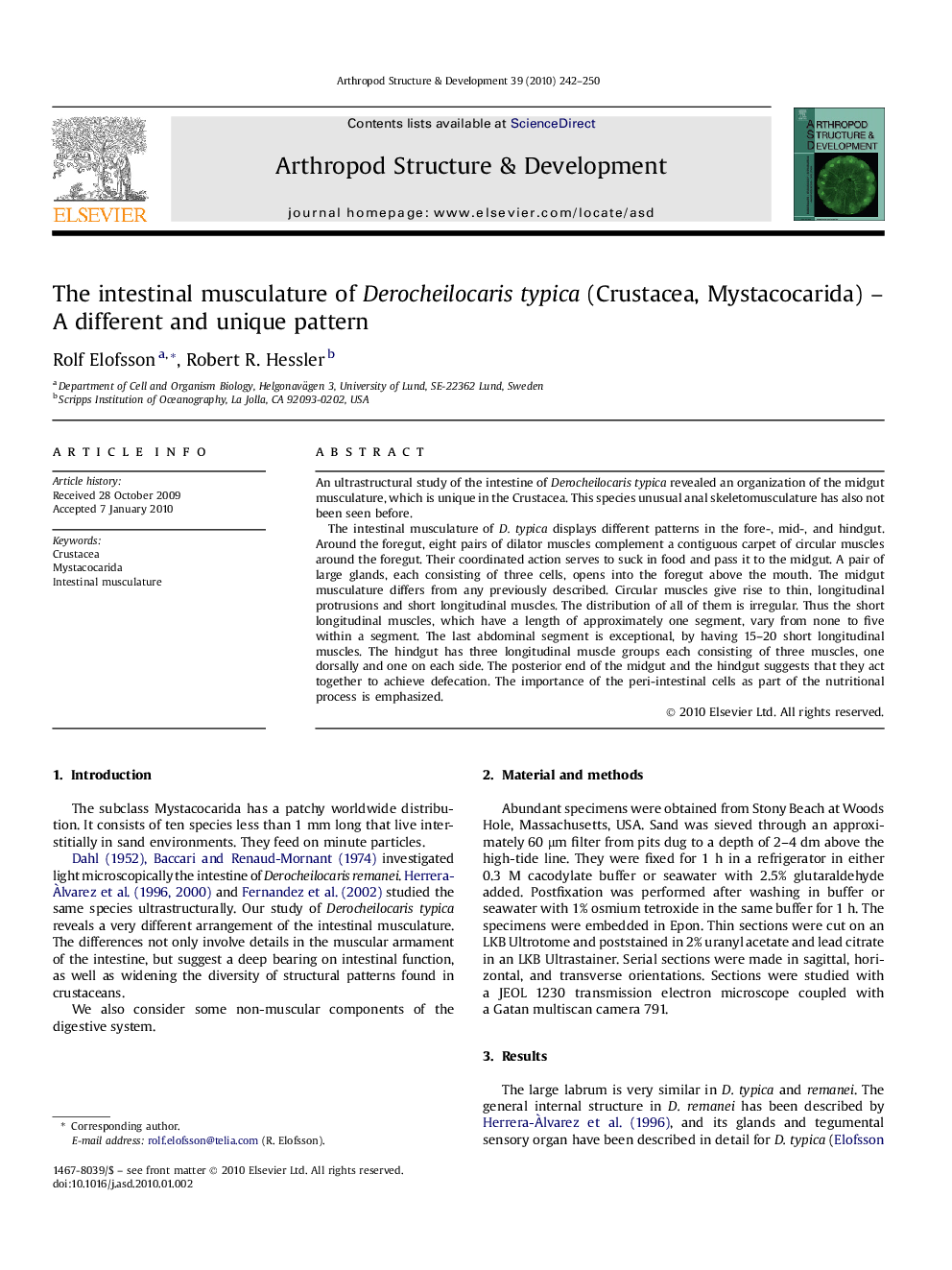 The intestinal musculature of Derocheilocaris typica (Crustacea, Mystacocarida) – A different and unique pattern