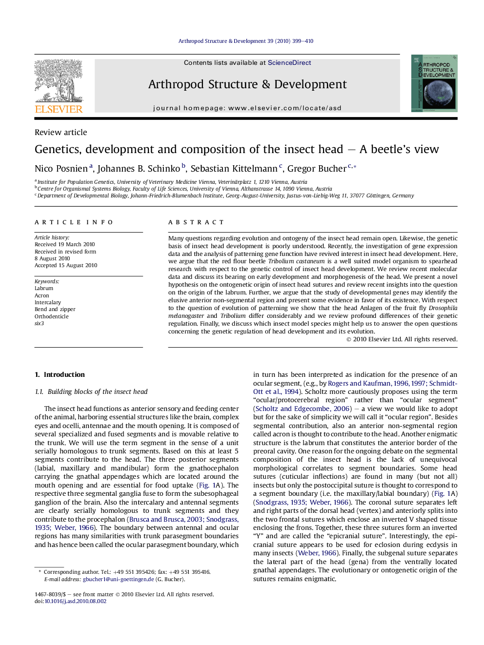 Genetics, development and composition of the insect head – A beetle’s view