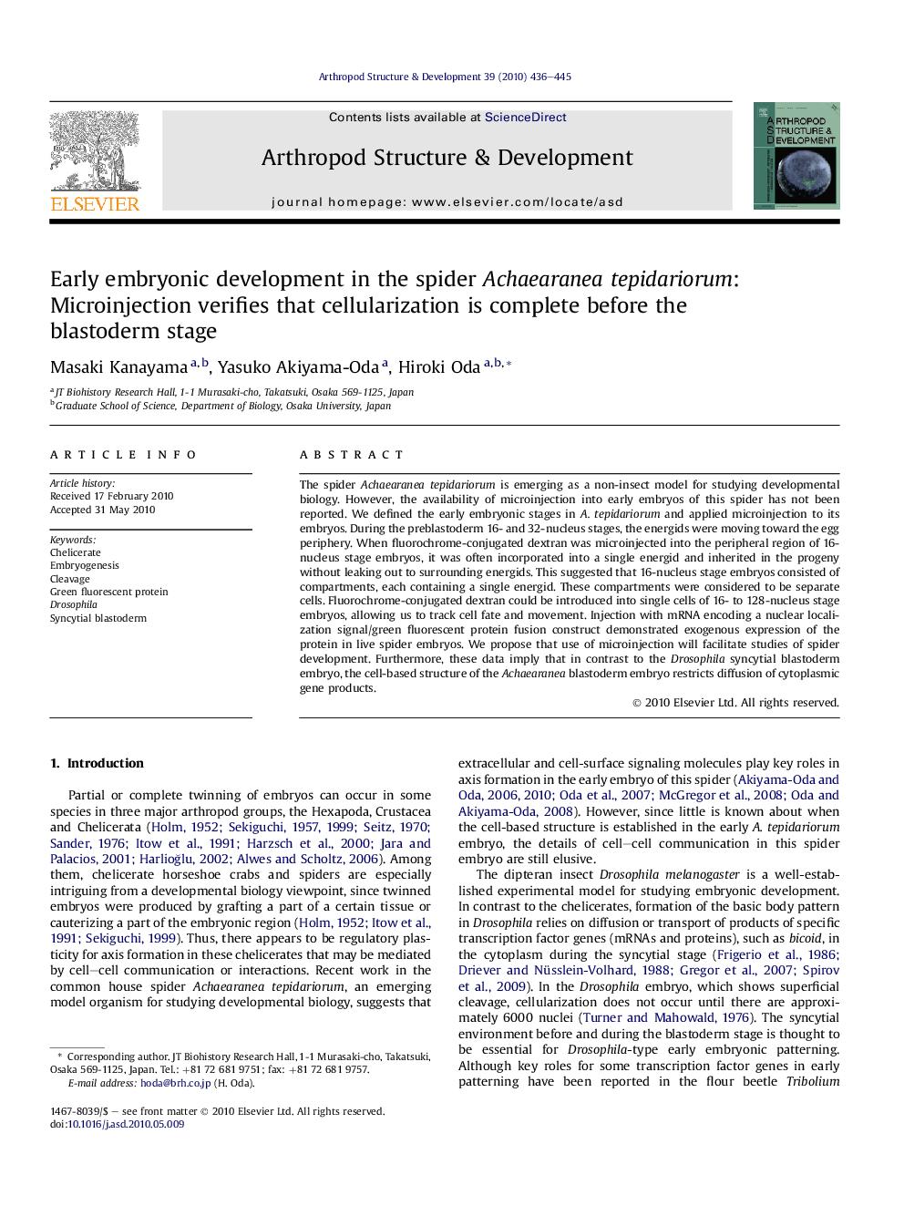 Early embryonic development in the spider Achaearanea tepidariorum: Microinjection verifies that cellularization is complete before the blastoderm stage