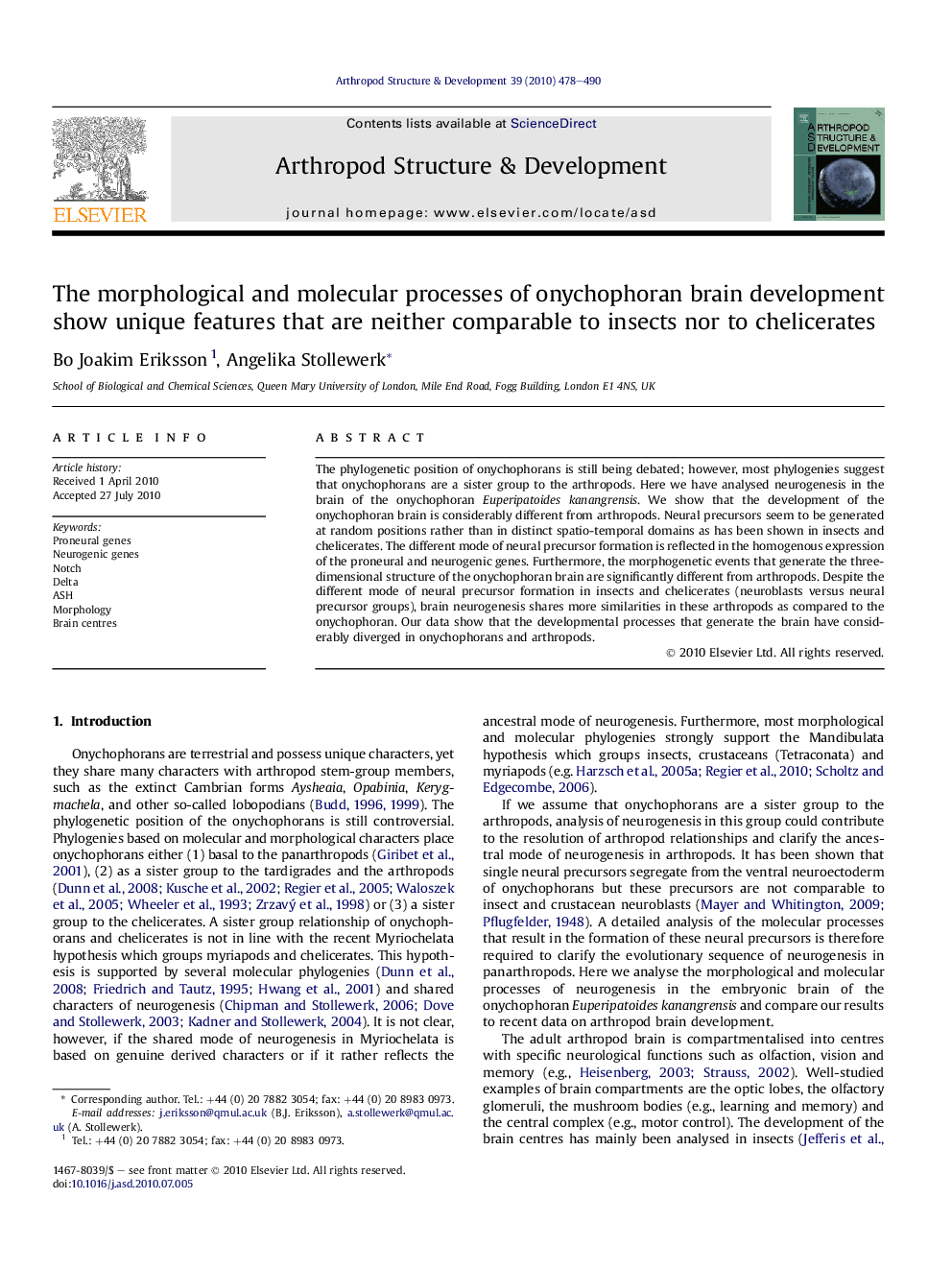 The morphological and molecular processes of onychophoran brain development show unique features that are neither comparable to insects nor to chelicerates