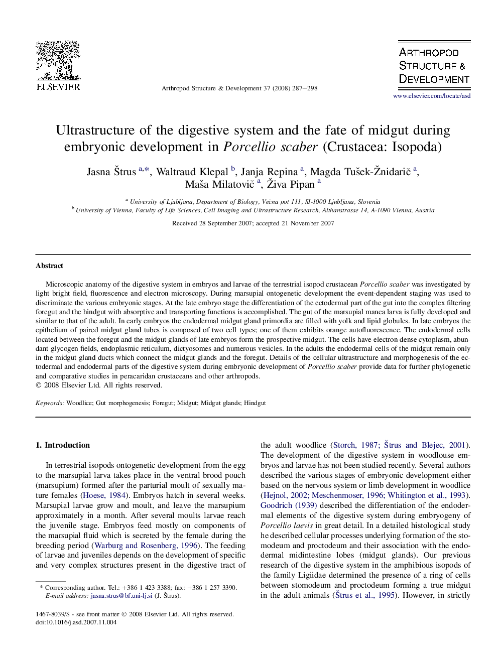 Ultrastructure of the digestive system and the fate of midgut during embryonic development in Porcellio scaber (Crustacea: Isopoda)