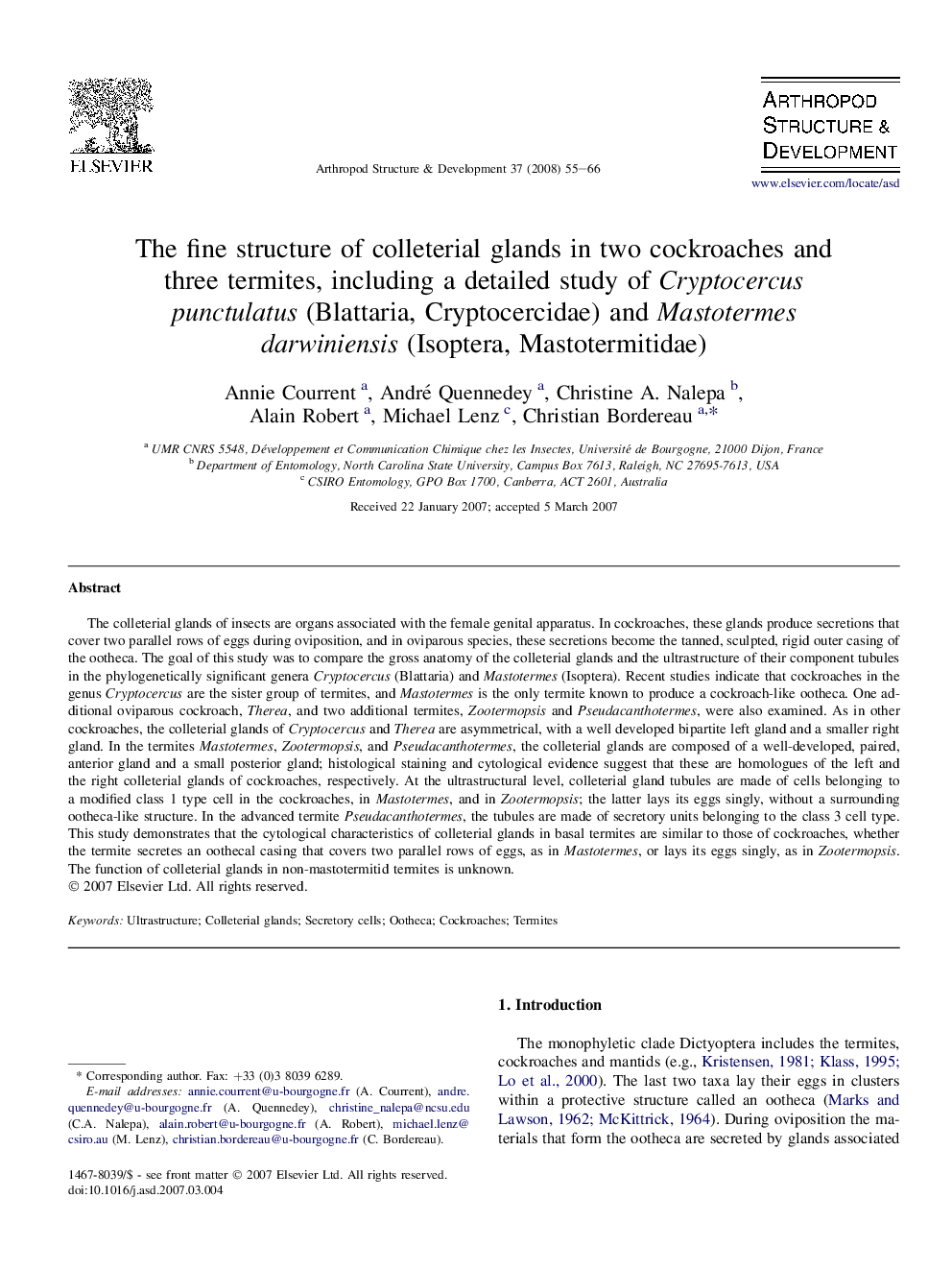 The fine structure of colleterial glands in two cockroaches and three termites, including a detailed study of Cryptocercus punctulatus (Blattaria, Cryptocercidae) and Mastotermes darwiniensis (Isoptera, Mastotermitidae)