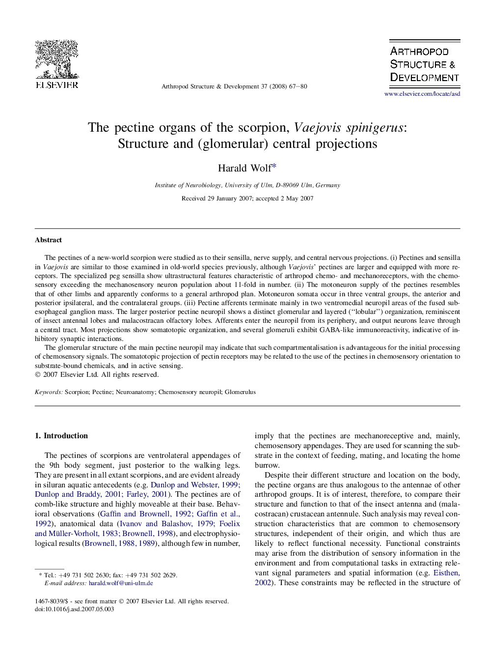 The pectine organs of the scorpion, Vaejovis spinigerus: Structure and (glomerular) central projections