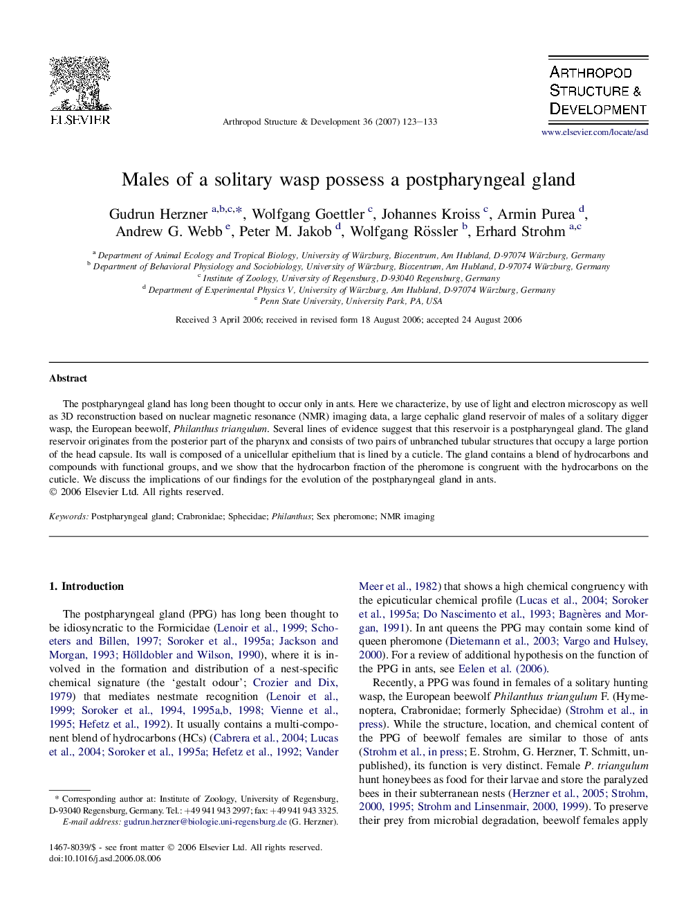 Males of a solitary wasp possess a postpharyngeal gland