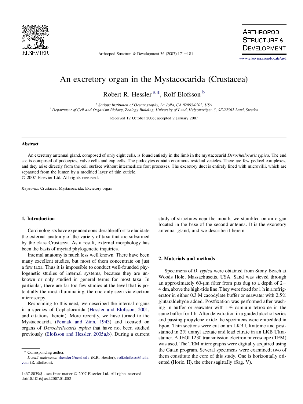 An excretory organ in the Mystacocarida (Crustacea)