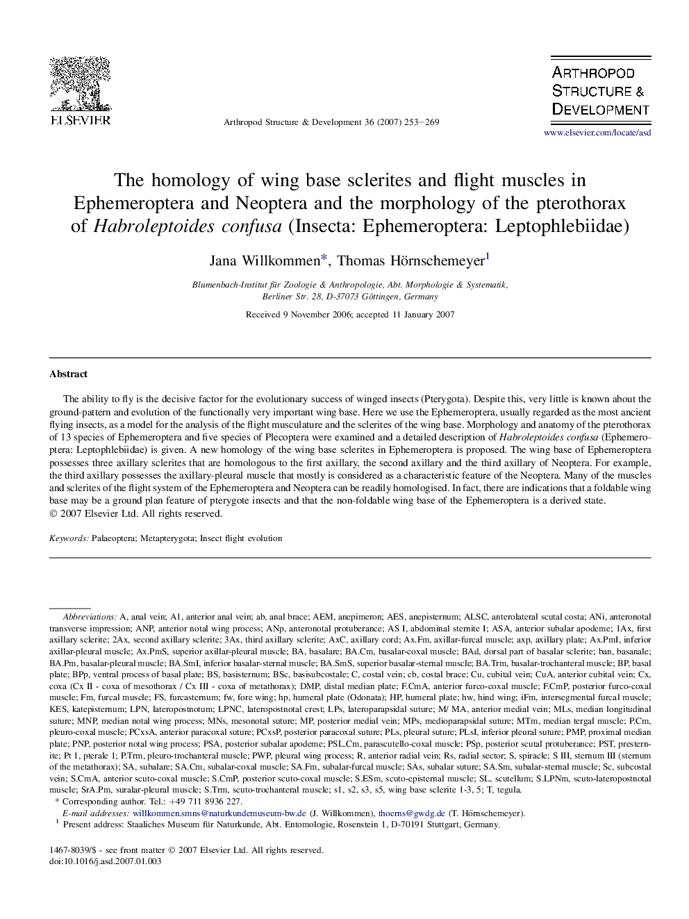 The homology of wing base sclerites and flight muscles in Ephemeroptera and Neoptera and the morphology of the pterothorax of Habroleptoides confusa (Insecta: Ephemeroptera: Leptophlebiidae)