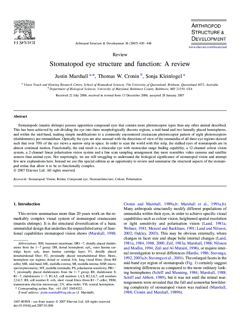 Stomatopod eye structure and function: A review