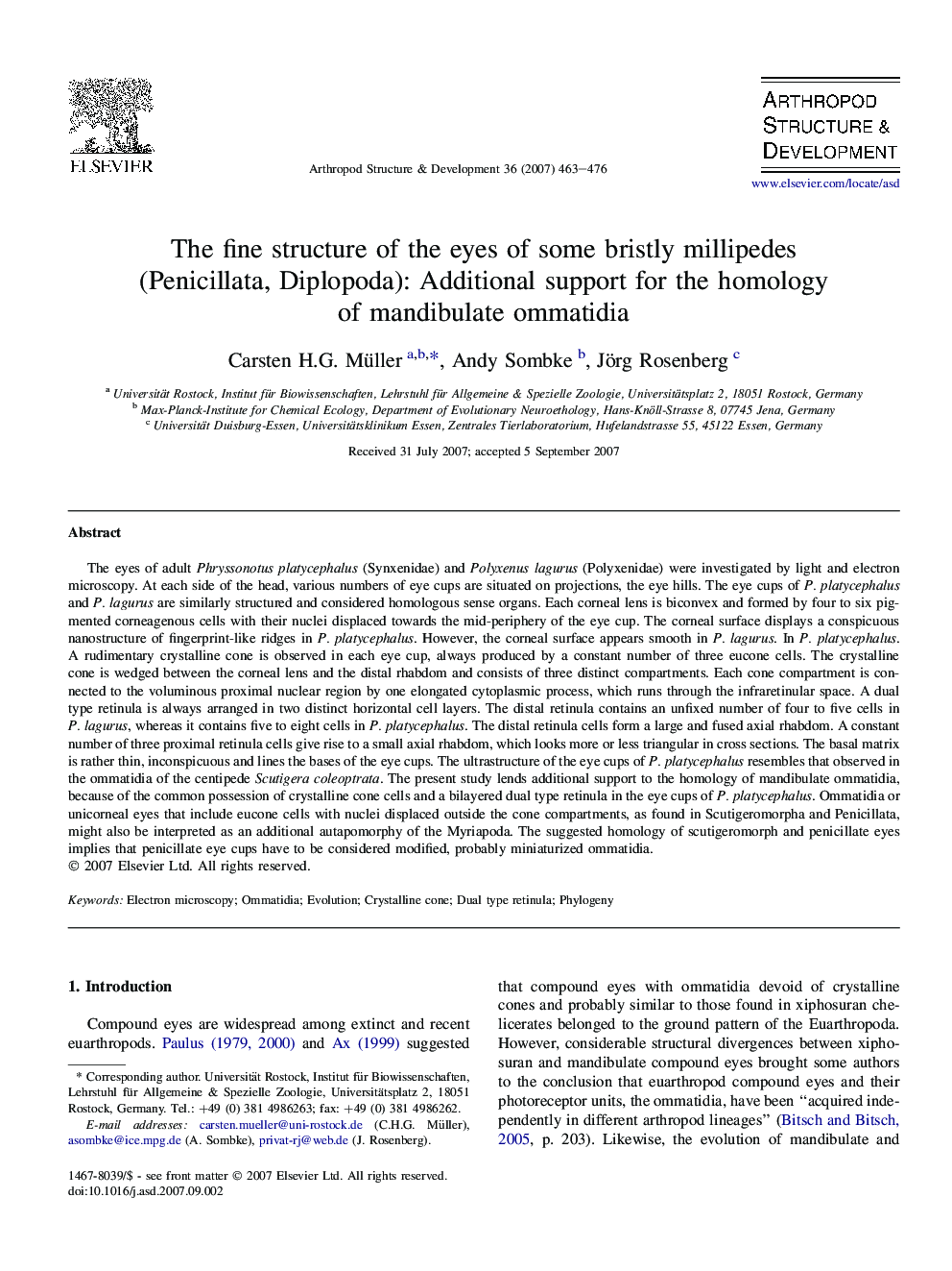 The fine structure of the eyes of some bristly millipedes (Penicillata, Diplopoda): Additional support for the homology of mandibulate ommatidia