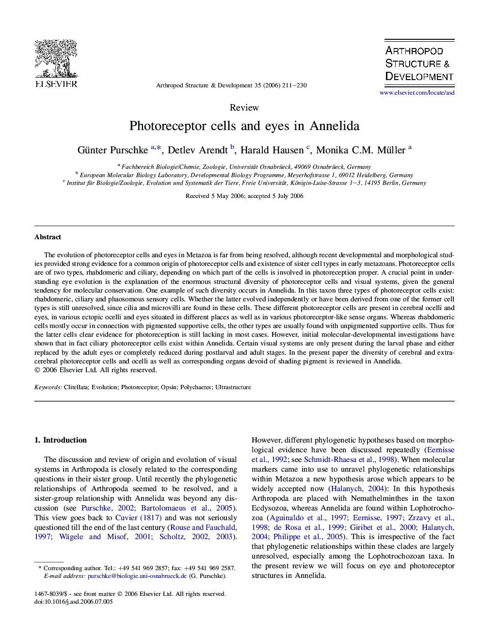 Photoreceptor cells and eyes in Annelida