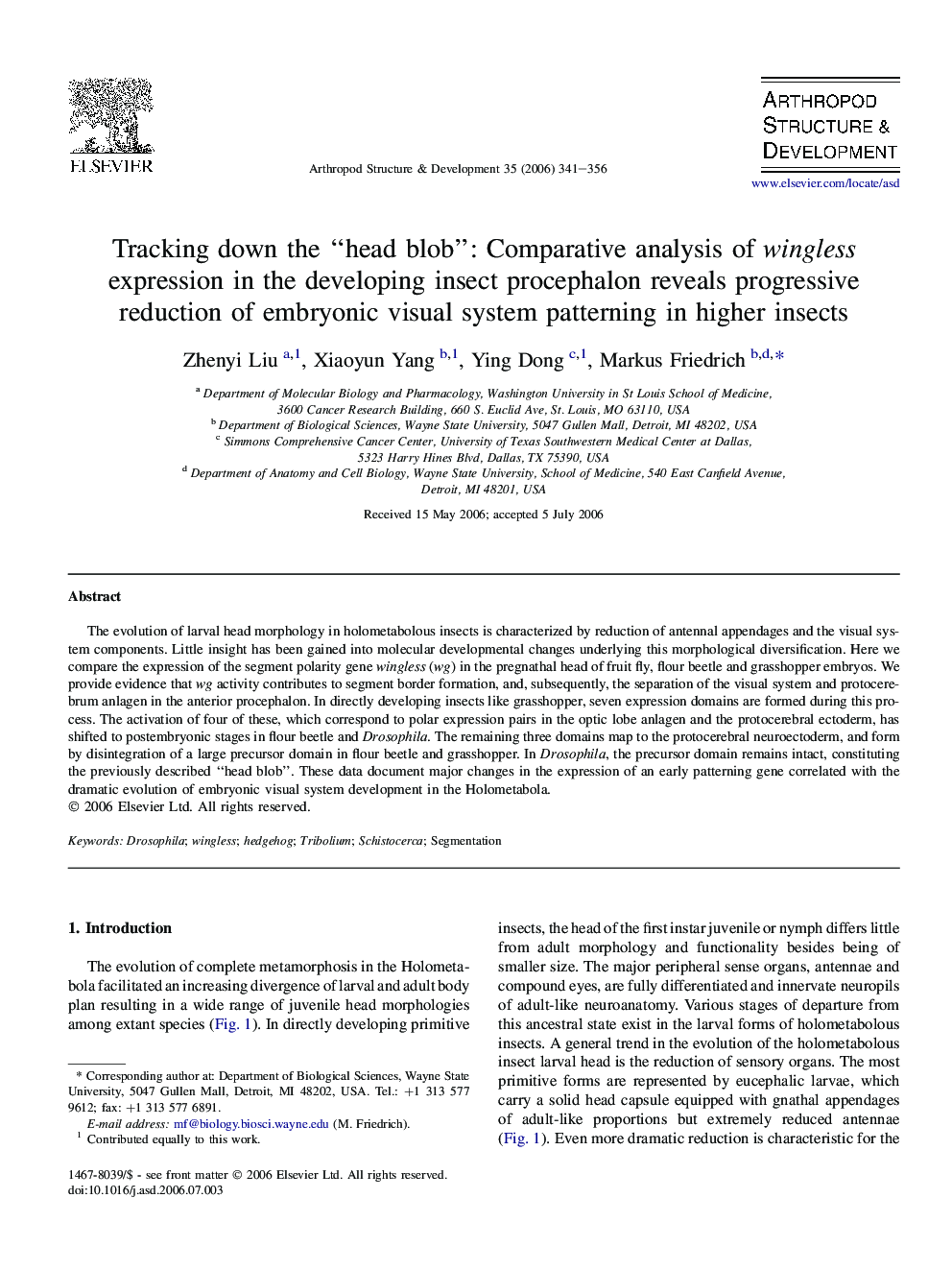 Tracking down the “head blob”: Comparative analysis of wingless expression in the developing insect procephalon reveals progressive reduction of embryonic visual system patterning in higher insects