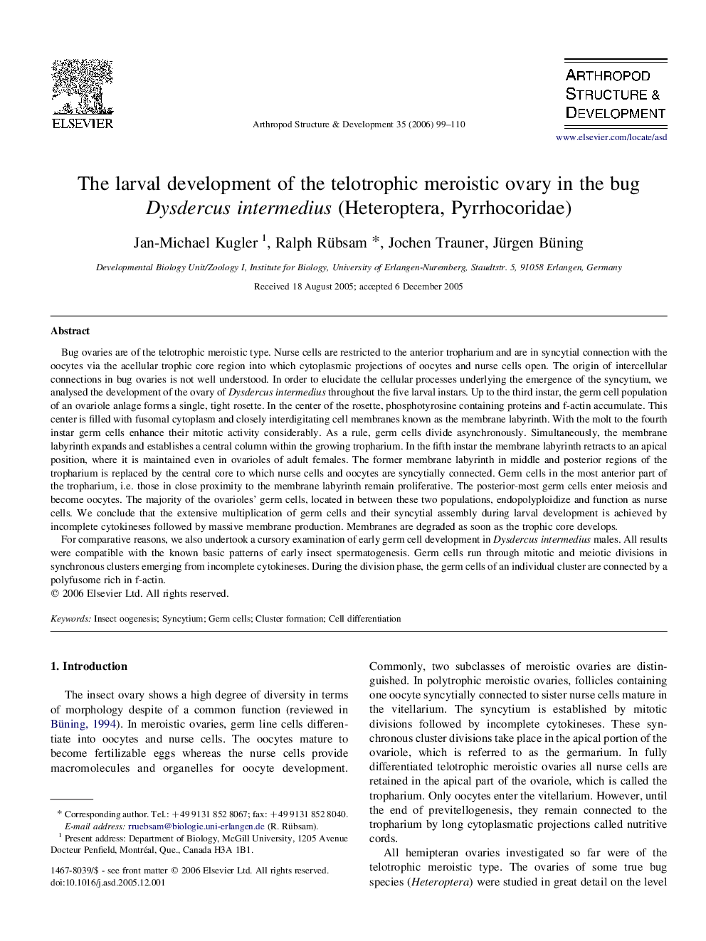 The larval development of the telotrophic meroistic ovary in the bug Dysdercus intermedius (Heteroptera, Pyrrhocoridae)