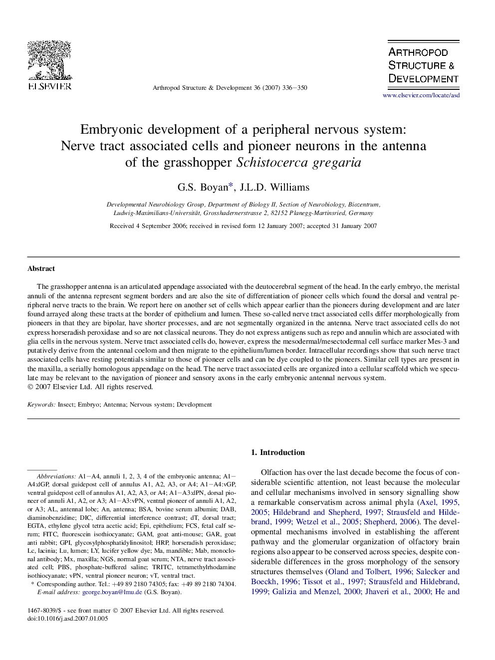 Embryonic development of a peripheral nervous system: Nerve tract associated cells and pioneer neurons in the antenna of the grasshopper Schistocerca gregaria