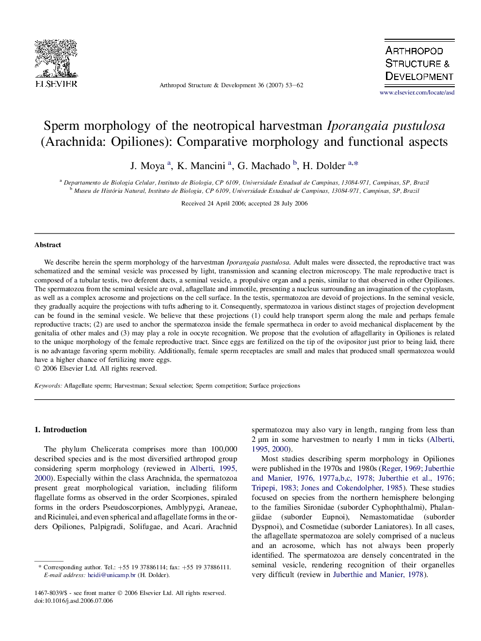 Sperm morphology of the neotropical harvestman Iporangaia pustulosa (Arachnida: Opiliones): Comparative morphology and functional aspects