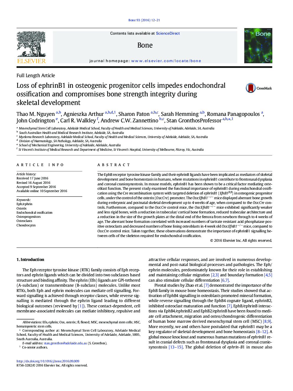 Loss of ephrinB1 in osteogenic progenitor cells impedes endochondral ossification and compromises bone strength integrity during skeletal development