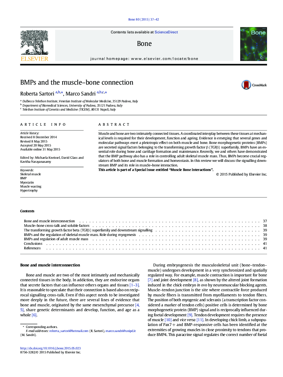 BMPs and the muscle–bone connection