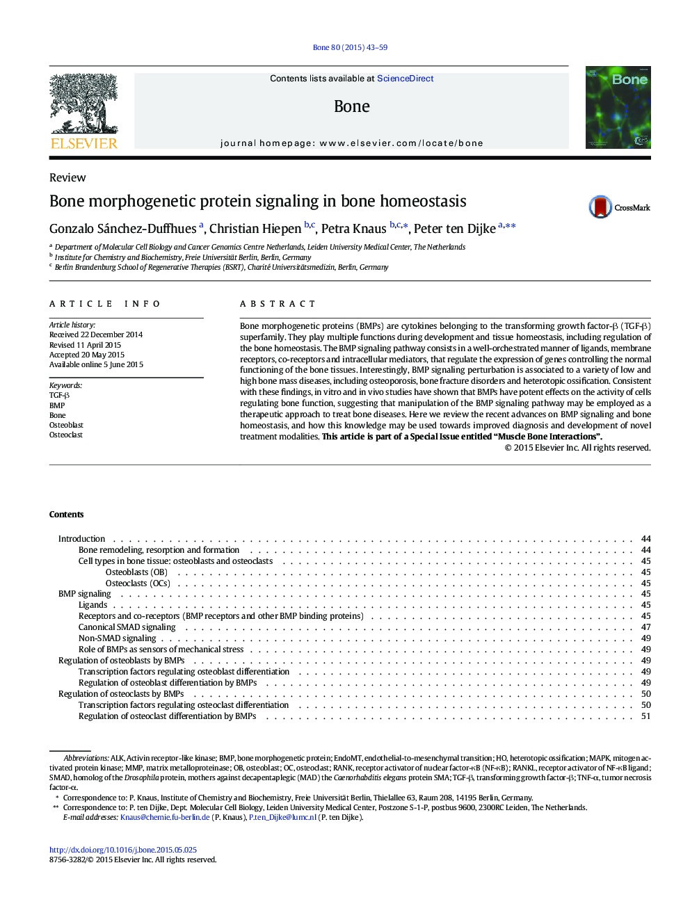 Bone morphogenetic protein signaling in bone homeostasis