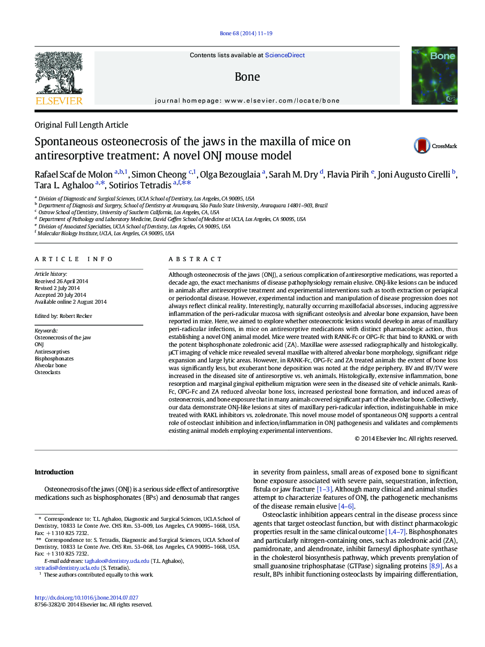 Spontaneous osteonecrosis of the jaws in the maxilla of mice on antiresorptive treatment: A novel ONJ mouse model