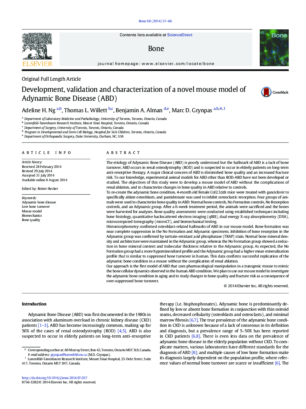 Development, validation and characterization of a novel mouse model of Adynamic Bone Disease (ABD)