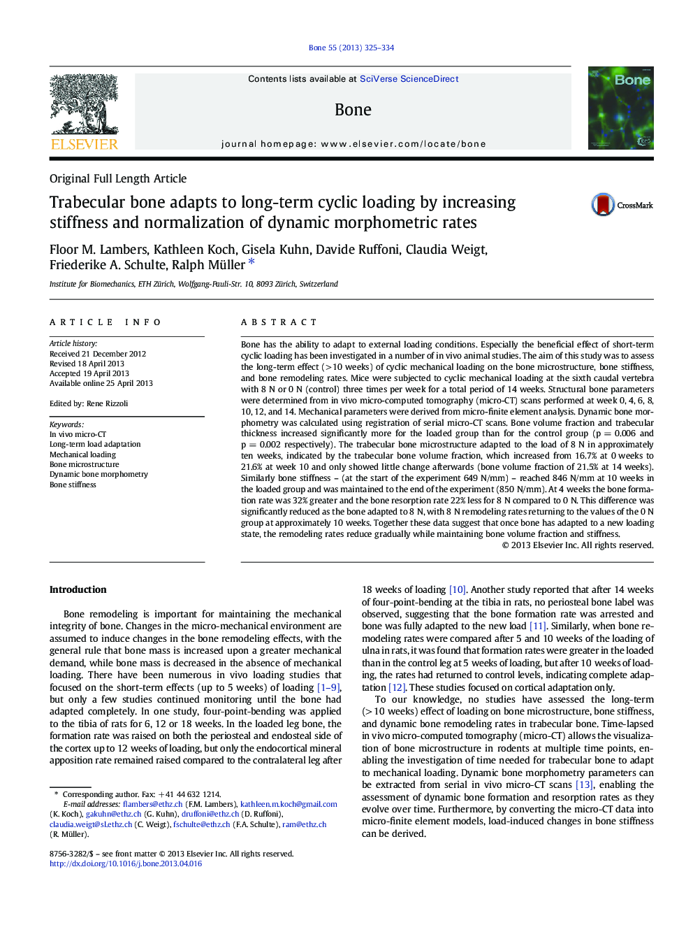 Trabecular bone adapts to long-term cyclic loading by increasing stiffness and normalization of dynamic morphometric rates