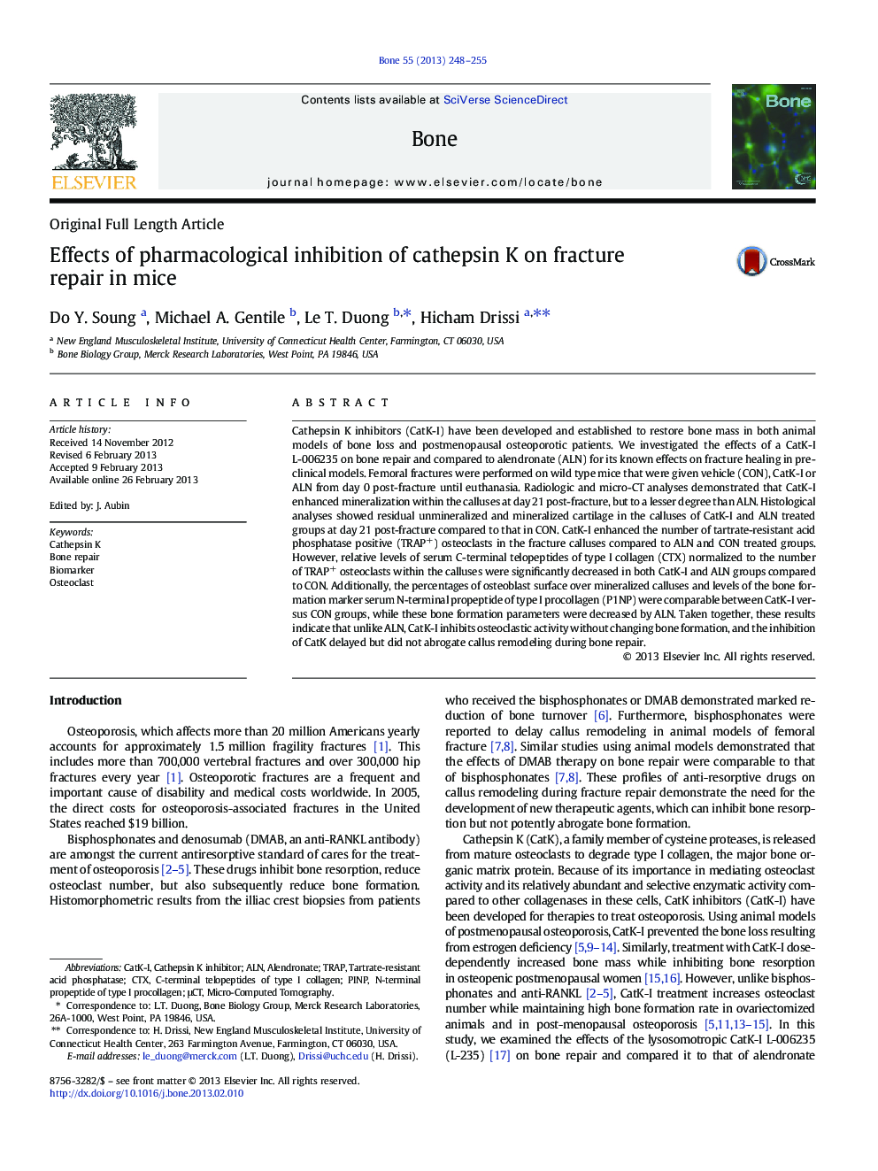 Effects of pharmacological inhibition of cathepsin K on fracture repair in mice