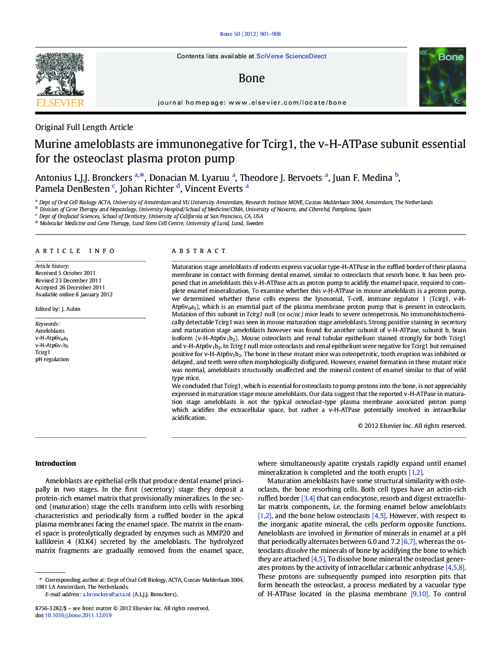 Murine ameloblasts are immunonegative for Tcirg1, the v-H-ATPase subunit essential for the osteoclast plasma proton pump