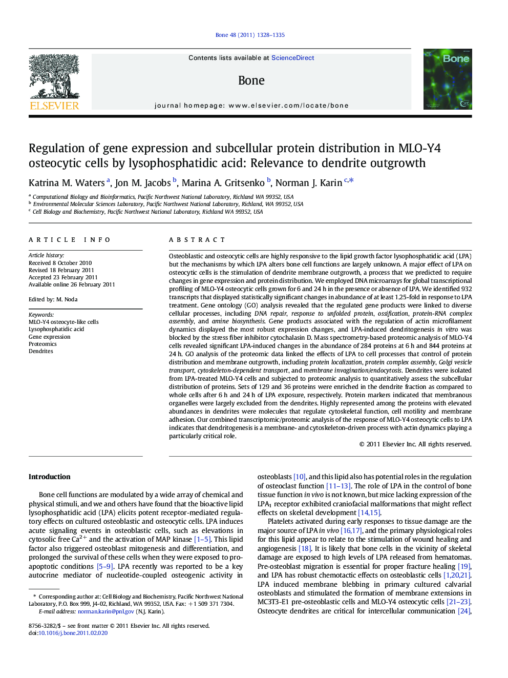 Regulation of gene expression and subcellular protein distribution in MLO-Y4 osteocytic cells by lysophosphatidic acid: Relevance to dendrite outgrowth